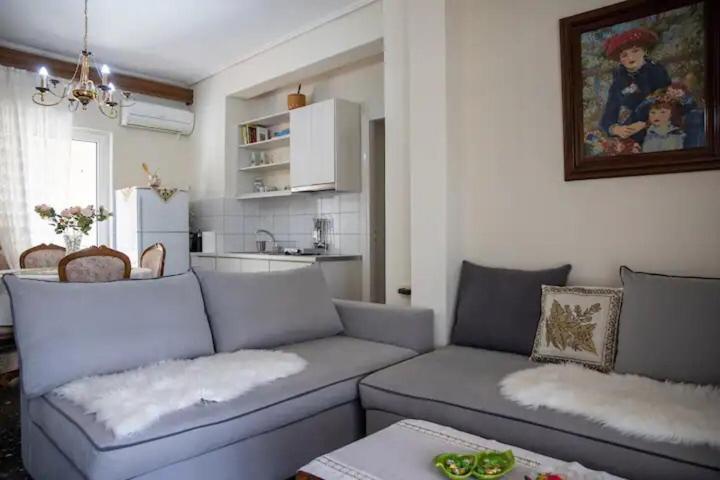 Loft House Trikala Apartment Bagian luar foto
