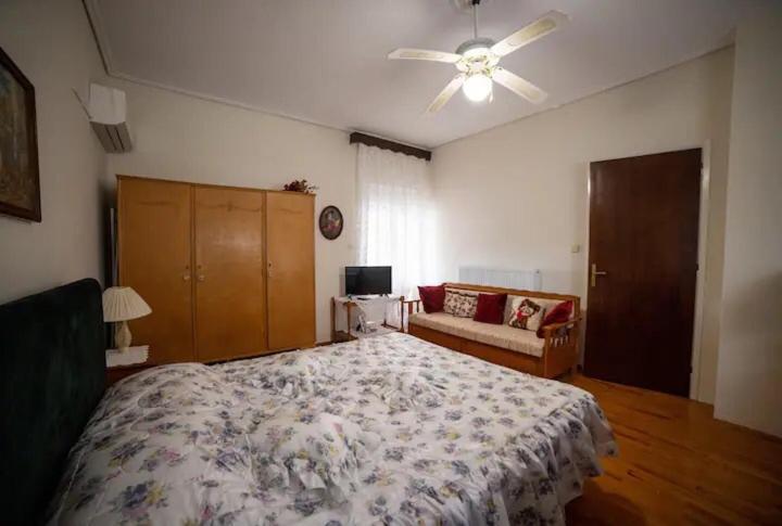 Loft House Trikala Apartment Bagian luar foto