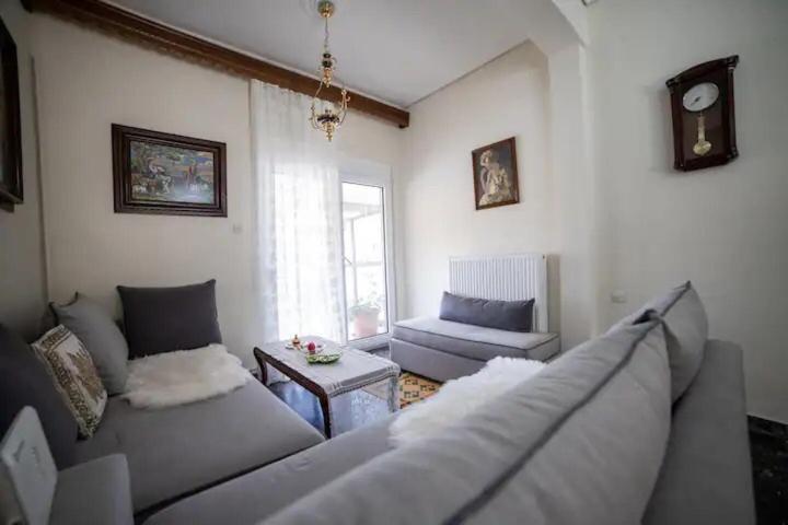 Loft House Trikala Apartment Bagian luar foto